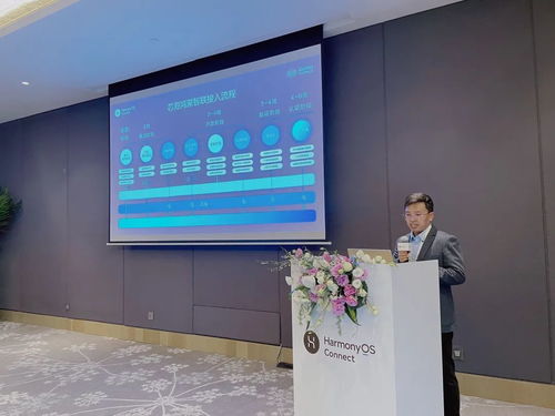 2025年度harmonyos connect伙伴峰會暨芯?？萍挤终搲瘓A滿落幕